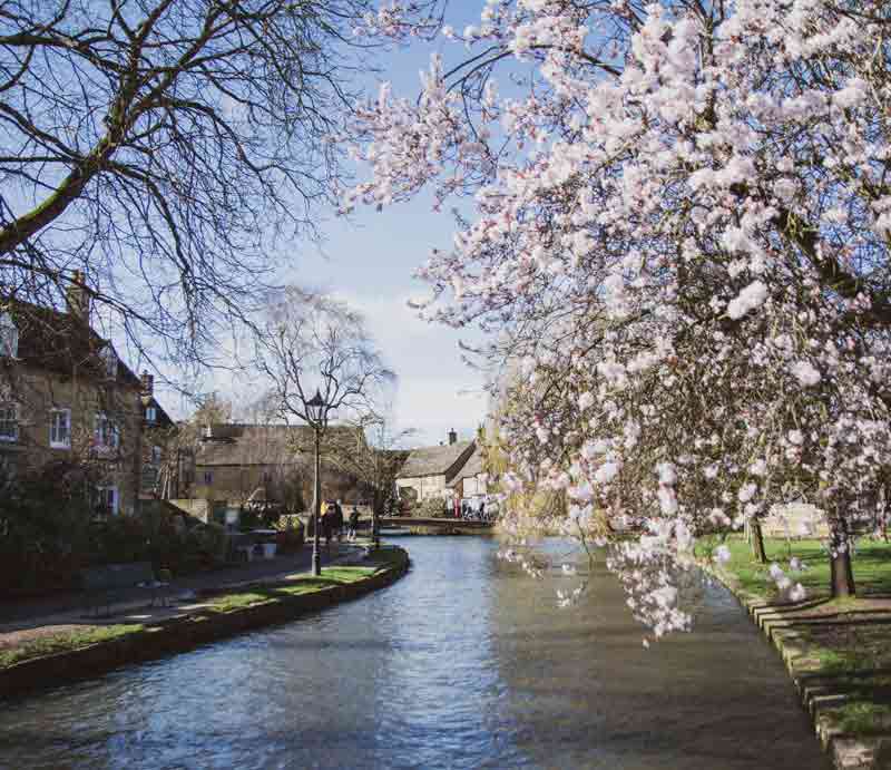 The river in Spring with blossom on the trees.