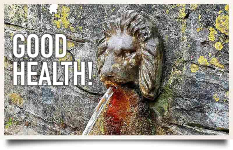Water flowing from sculpted lion's mouth with caption 'Good Health!'.